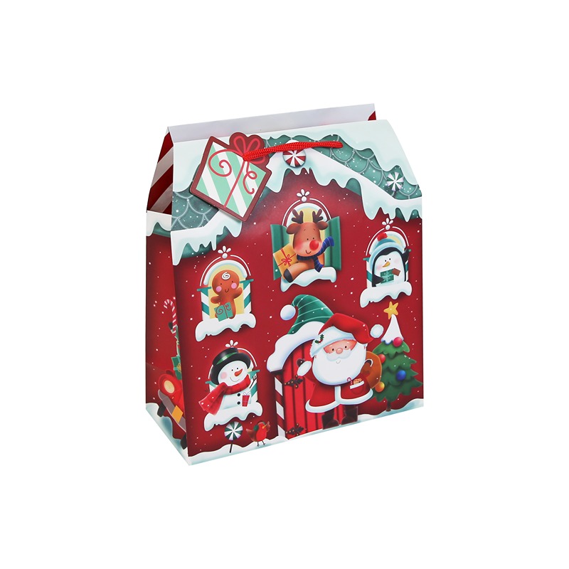 Eurowrap - SANTA'S GROTTO MEDIUM GIFT BAG - X-36106-3C