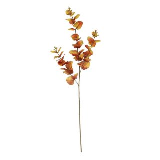 Glamis eucylyptus spray 73cm Brown