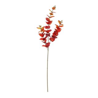 Glamis eucylyptus spray 73cm Red