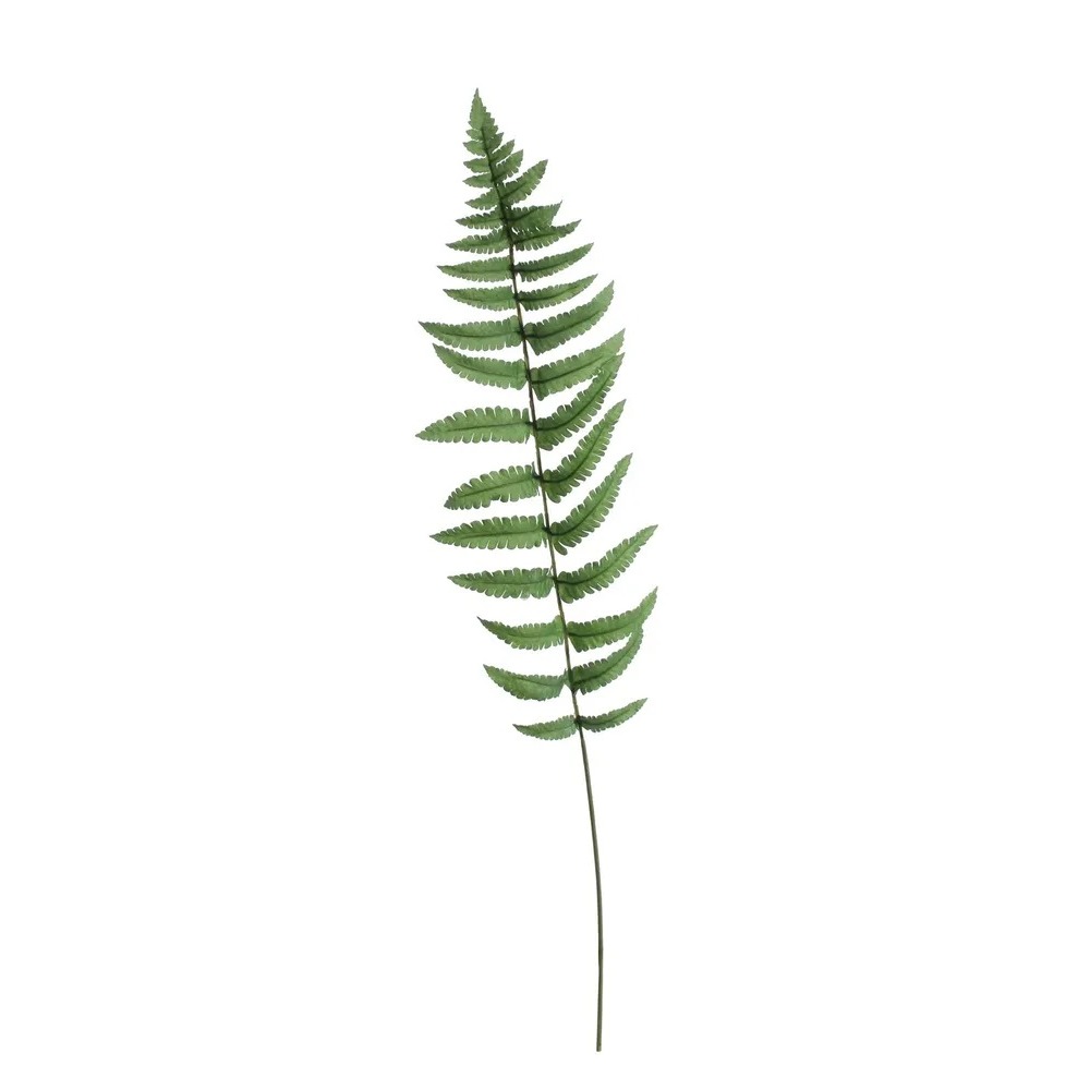Large Ladder Fern Leaf (70cm) - SF8407