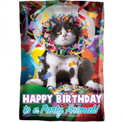 Anagram 17" Jr Shape Avanti Happy Birthday Party Animal Pkt - 3637801