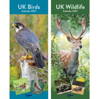 Calendar Super Slim UK Birds & Wildlife (RANDOM SENT) - 0523/FSC