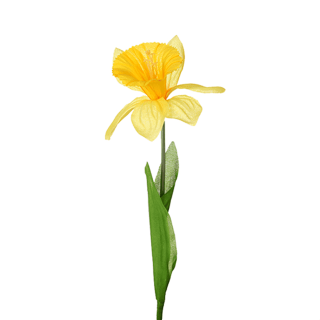 SINGLE DAFFODIL YELLOW-851717