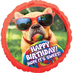 Anagram 28" P35 Avanti Sweet Birthday French Bulldog Pkt - 3638901