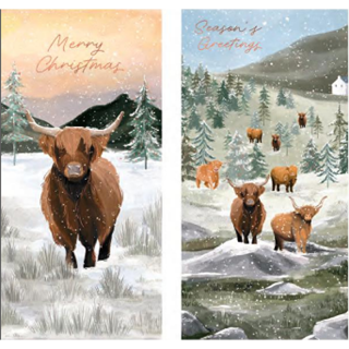 Tom Smith - LUXURY SLIM HIGHLAND COW CARDS - XTOMBCC5A506