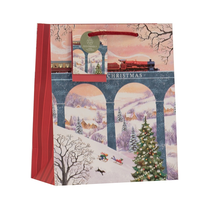 SANTA EXPRESS MEDIUM BAG - 6PK - XBV-284-M