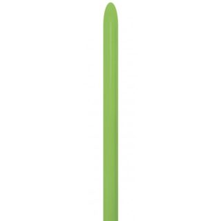 Sempertex - 160 - Nozzle Up - Fashion - Lime Green - 031 - 80 Pcs - N160031
