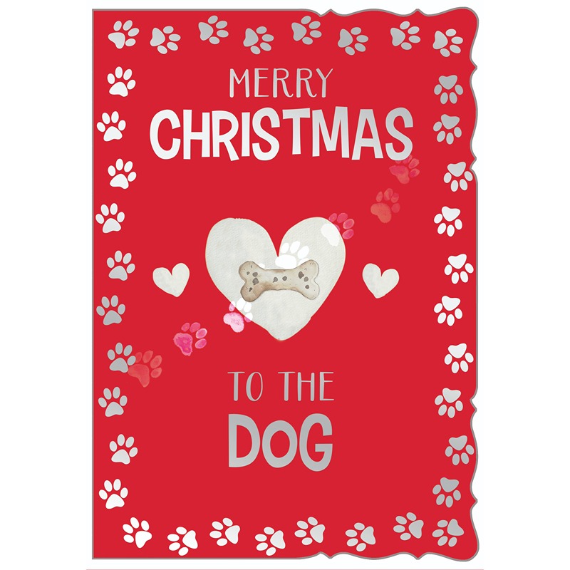 Out Of The Blue - To the Dog - NEUTRAL - 6 Pack - X8056-1